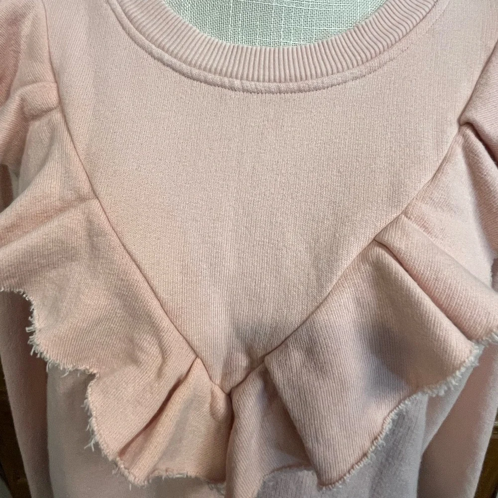 FREE PEOPLE Ooh La Ruffled Oversized Pullover Sweatshirt in Ballet Pink EUC - Picture 15 of 16